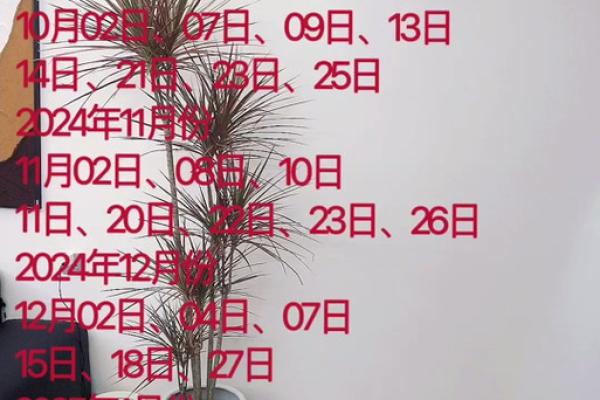 2024年10月3日可以入宅吗,今天是入宅吉日吗