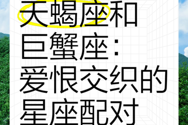 双子和巨蟹座配对合适吗女