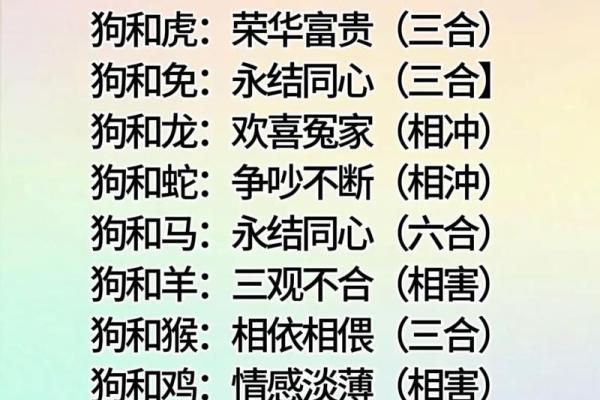 老虎生肖配对大揭秘，你知道哪些？