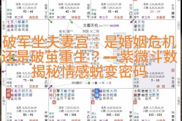 历代紫薇斗数