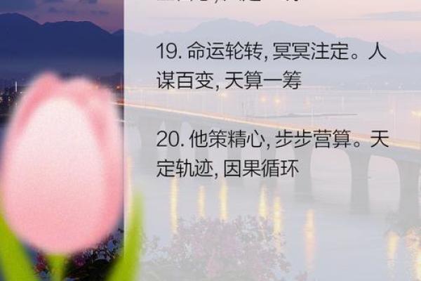 历史智慧：一招成为算命高手，一学就会