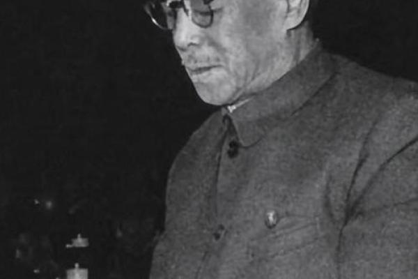 康生八字