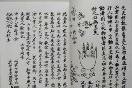 一掌经算命书