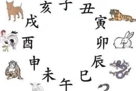 宝宝命运算命