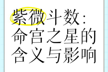 紫薇斗数是什么意思
