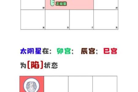 紫微斗数戊级星大小排序 戊子的官星？