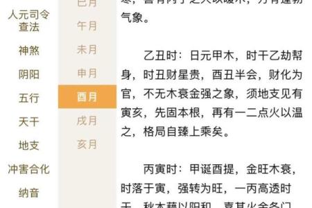 八字算命解析