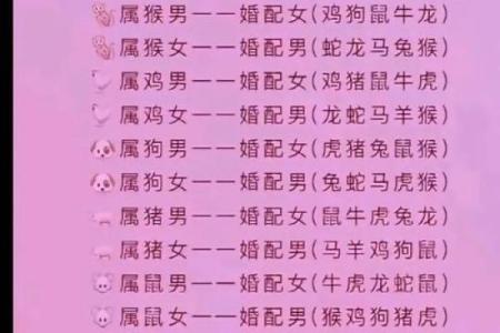 生肖属兔和属狗的合不合 相合配对指数
