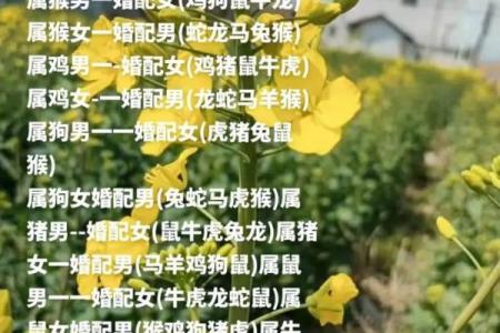 鸡蛇生肖配对指数 鸡和蛇属相婚配指数