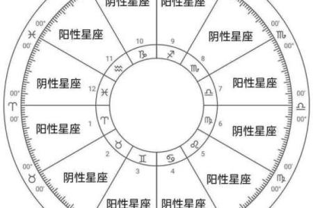 星盘查询 星盘怎么看