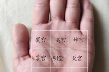 《手相学习百科》：掌纹介绍