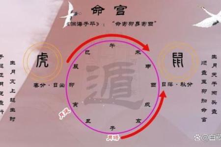 八字排盘后分析教程