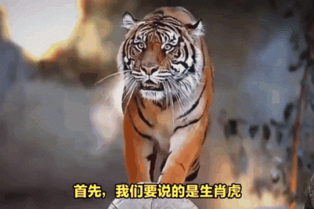 这4大生肖女，脾气不好，却旺夫兴家，是个母老虎，更是个财神爷