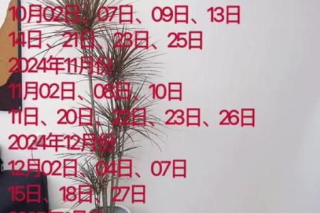 2024年10月3日可以入宅吗,今天是入宅吉日吗
