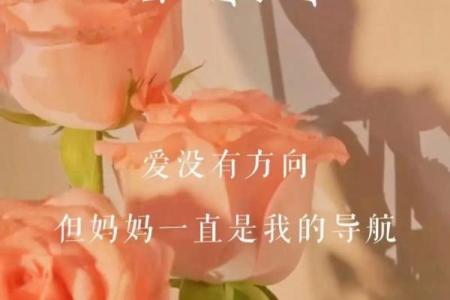 祝妈妈节日快乐