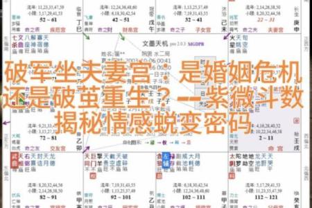 历代紫薇斗数
