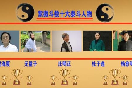高人汇紫薇斗数