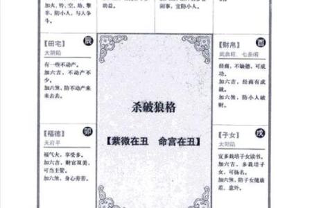 紫微斗数凶恶格局总结 紫微斗数里的狠角色？