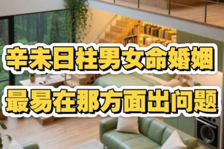 辛未年生女结婚吉日 辛未年生人是什么命？