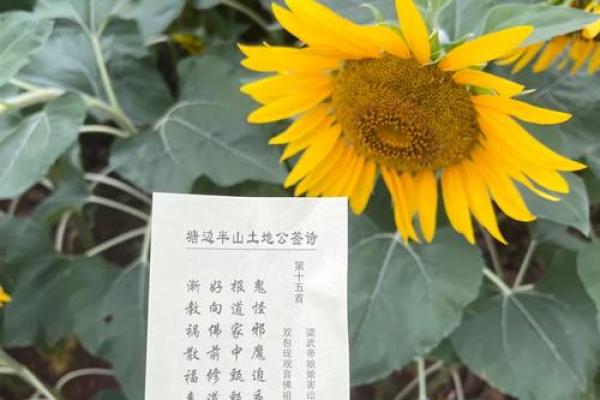 土地庙灵签第七十二签姻缘