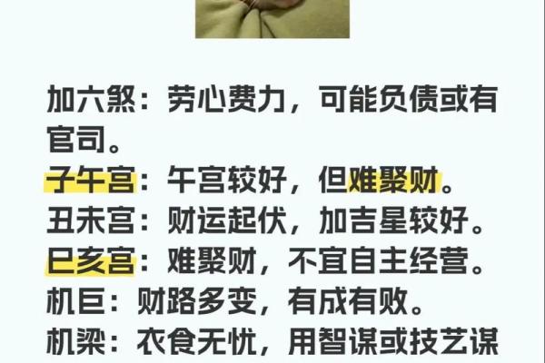 紫薇斗数看创业与否