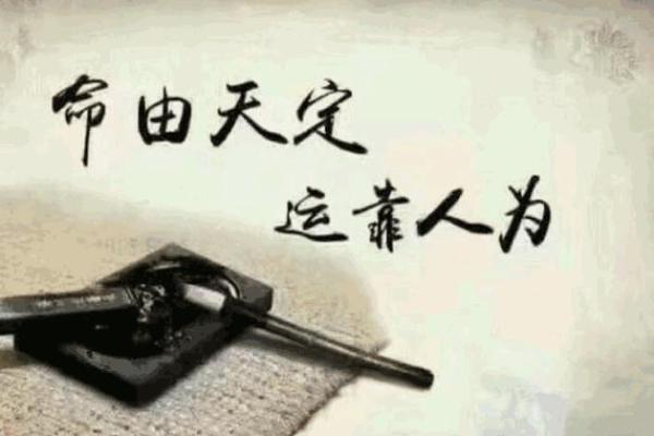 算命不如认命是什么意思