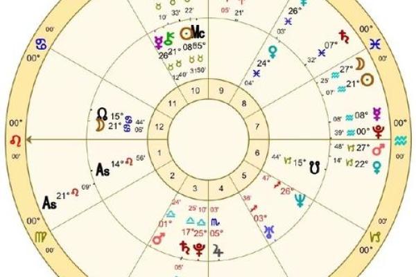 自己看星盘有什么不好的吗
