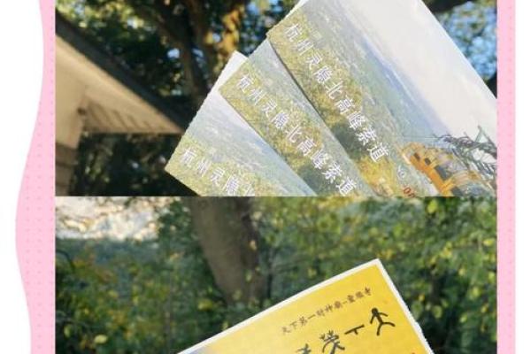 灵顺寺解签三十二签