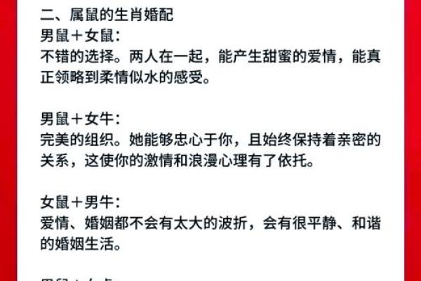 属鼠正缘出现在哪年 属鼠人婚姻配对表