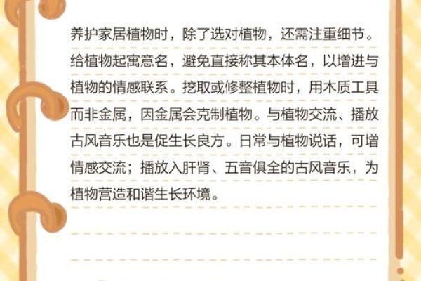 如何通过养植物改善室内风水
