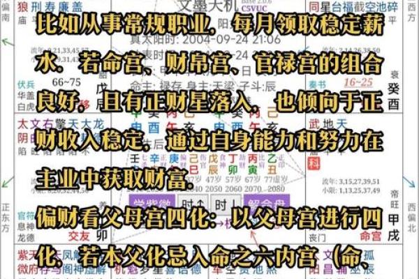 蔡辰洲紫薇斗数