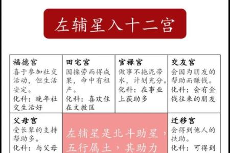 紫薇斗数子女宫在子