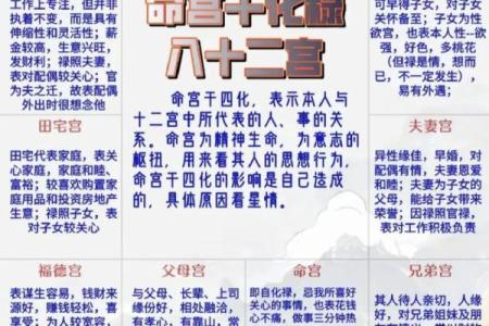 紫微斗数之四化论断法详释：生年干四化表象