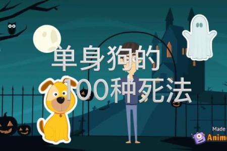 单身狗八字问卜：详解单身狗的桃花运势
