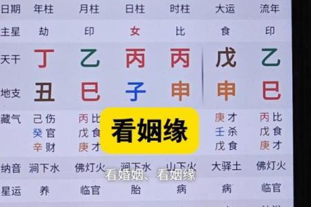 姻缘配对百分之几