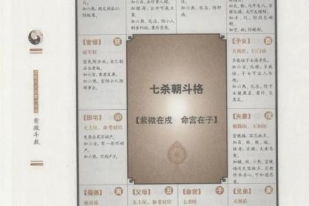 紫薇斗数化忌是怎么来的