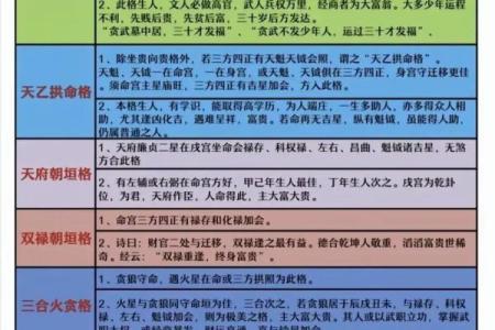 天机紫薇斗数长相