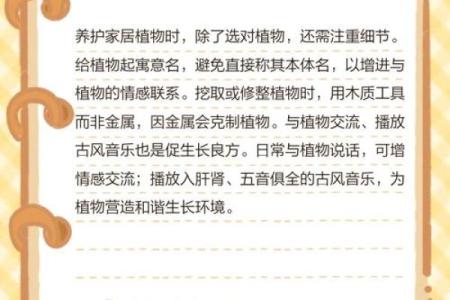 如何通过养植物改善室内风水