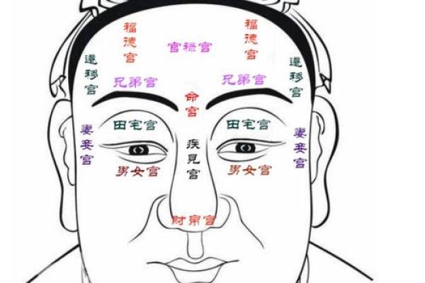 面相风水鼻头大的男人好不好是长寿命吗