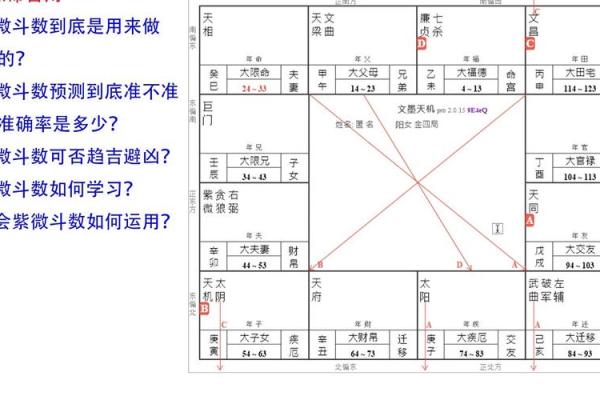 天宫紫薇斗数