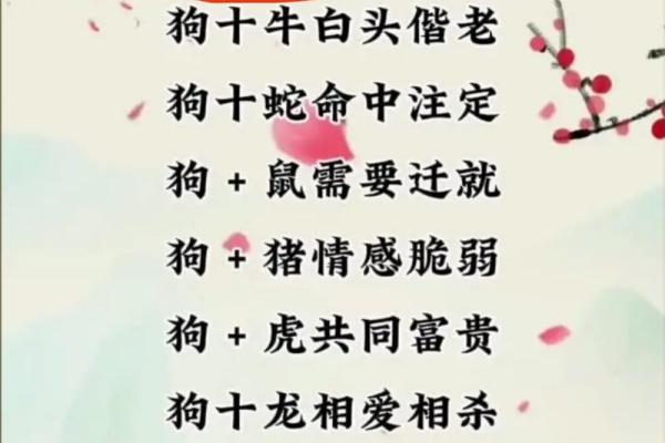 属狗男今年结婚吉日 属狗男今年结婚吉日有哪些？