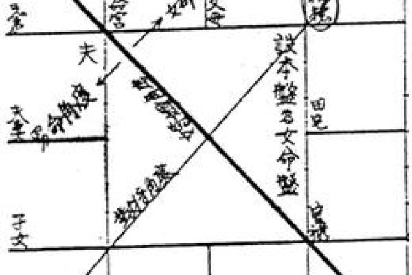 跟着AI学紫薇斗数，紫微星的四化的介绍