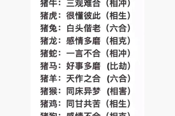 猪的生肖配对