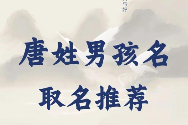 唐姓名配对搞笑名字 姓唐的谐音网名？