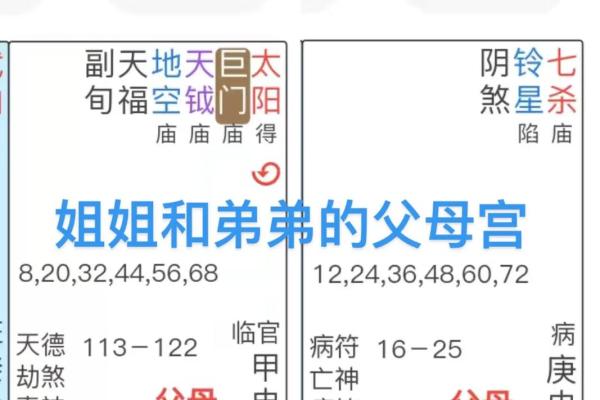 紫薇斗数父母宫看配偶家境