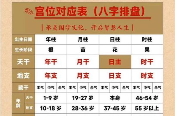 辰时八字