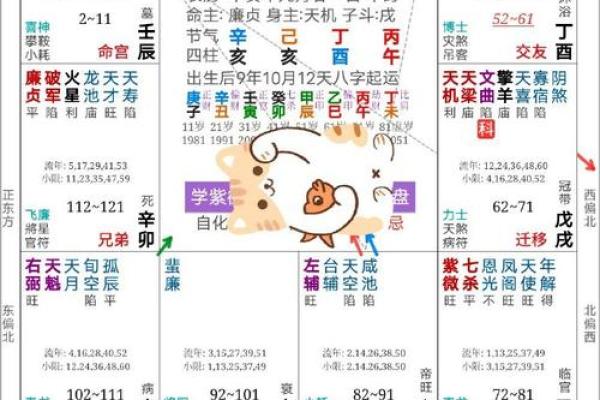 紫薇斗数看癌症