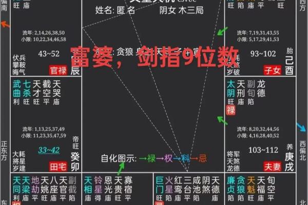 紫薇斗数看癌症