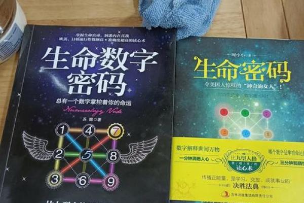 生命灵数配对怎么安排