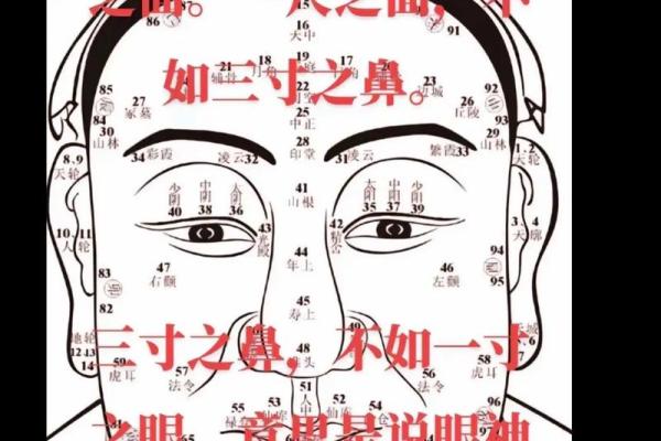 八字属阳的女人命运